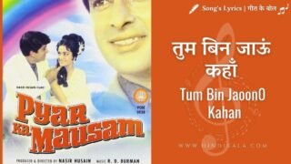 Pyaar Ka Mausam (1969) – Tum Bin Jaoon Kahan Lyrics in Hindi & English with Meaning (Translation) | तुम बिन जाऊं कहाँ | Mohd. Rafi | Kishore Kumar