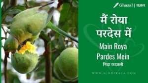 jagjit-singh-dohe-main-roya-pardes-mein-lyrics-in-hindi-with-meaning-english-translation