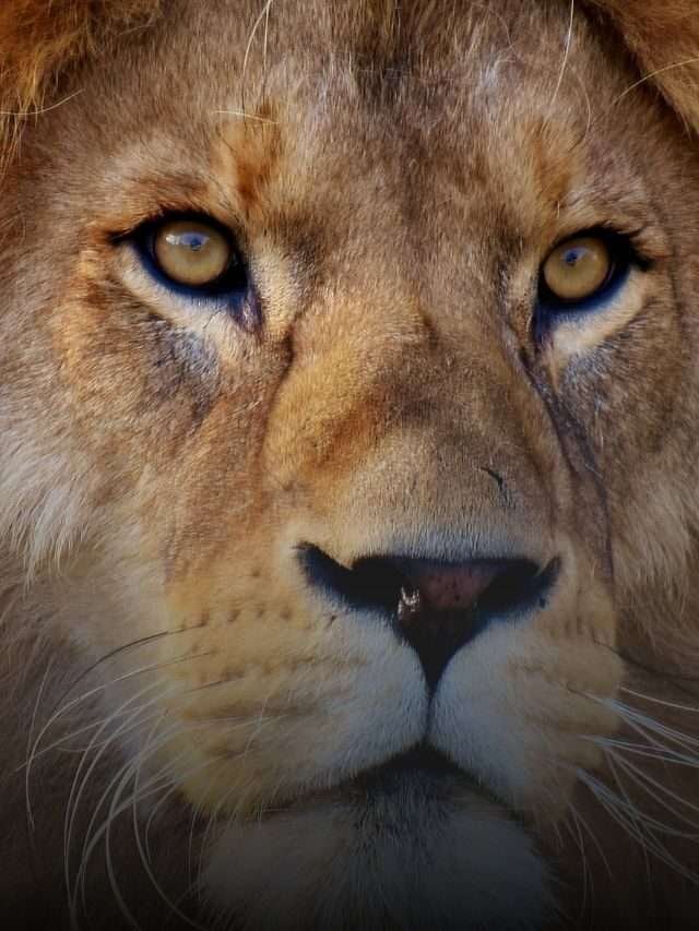 दृढ़ संकल्प वाले लोगो की 9 सरल आदतें