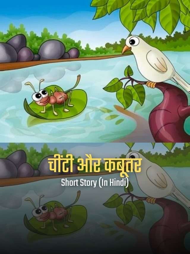 चींटी और कबूतर | हिन्दी लघु कथा | Ant & Pigeon
