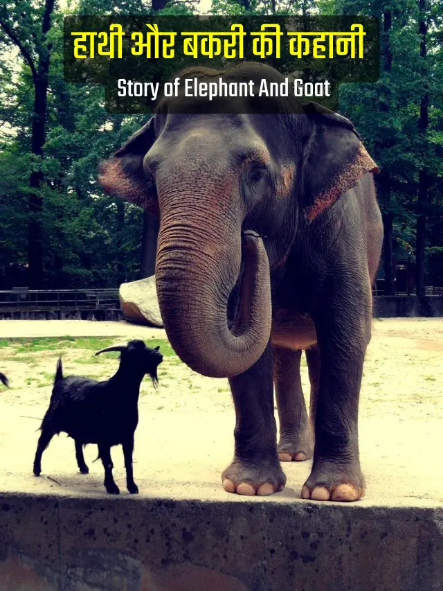 story-of-elephant-and-goat-in-hindi