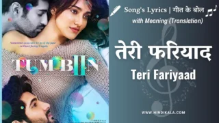 Tum Bin 2 (2016) – Teri Fariyaad Lyrics in Hindi & English with Meaning (Translation) | Jagjit Singh | Rekha Bhardwaj | तेरी फरियाद