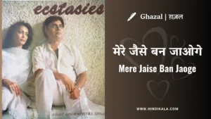 jagjit-singh-ghazal-mere-jaise-ban-jaoge-lyrics-in-hindi-and-english-with-meaning-translation