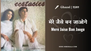 Jagjit Singh & Chitra Singh Ghazal Mere Jaise Ban Jaoge Lyrics in Hindi & English with Meaning (Translation) | मेरे जैसे बन जाओगे