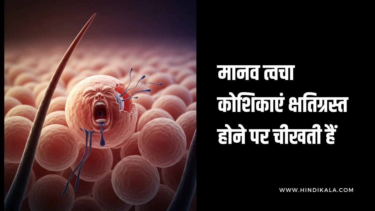 human-skin-cells-scream-when-they-are-damaged