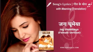 Sultan (2016) – Jag Ghoomeya Female Version Lyrics Meaning (English Translation) | Neha Bhasin | जग घूमेया