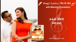 Sultan (2016) – 440 Volt Lyrics Meaning (English Translation) | Mika Singh | 440 वोल्ट