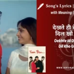 tum-bin-2001-Dekhte-Hi-Dekhte-Dil-Kho-Gaya-Lyrics