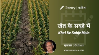Gulzar Poetry Khet Ke Sabje Mein in Hindi & English with Meaning (English Translation) | गुलज़ार – खेत के सब्ज़े में