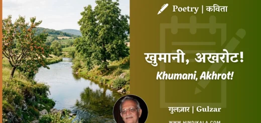 gulzar-poetry-Khumani-Akhrot-in-hindi-english-with-meaning