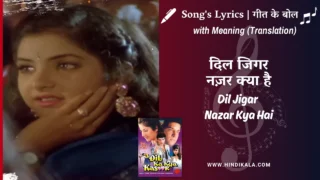 Dil Ka Kya Kasoor (1992) – Dil Jigar Nazar Kya Hai Lyrics Meaning (English Translation) | Kumar Sanu | दिल जिगर नज़र क्या है