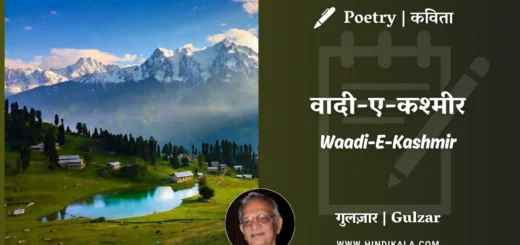 gulzar-poem-Waadi-E-Kashmir-in-hindi-english-with-meaning