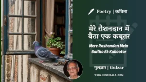 gulzar-poem-Mere-Roshandan-Mein-Baitha-Ek-Kabootar-in-hindi-english-with-meaning