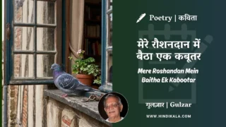Gulzar Poem Mere Roshandan Mein Baitha Ek Kabootar in Hindi & English with Meaning (English Translation) | गुलज़ार – मेरे रौशनदान में बैठा एक कबूतर