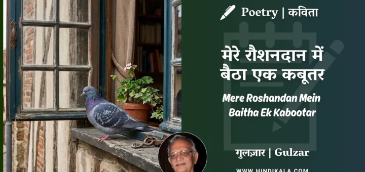 gulzar-poem-Mere-Roshandan-Mein-Baitha-Ek-Kabootar-in-hindi-english-with-meaning