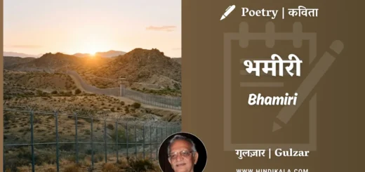 gulzar-poem-Bhamiri-in-hindi-english-with-meaning
