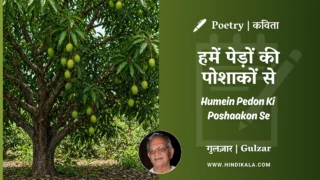 Gulzar Poem Humein Pedon Ki Poshaakon Se in Hindi & English with Meaning (English Translation) | गुलज़ार – हमें पेड़ों की पोशाकों से